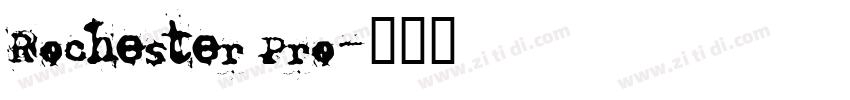 Rochester Pro字体转换